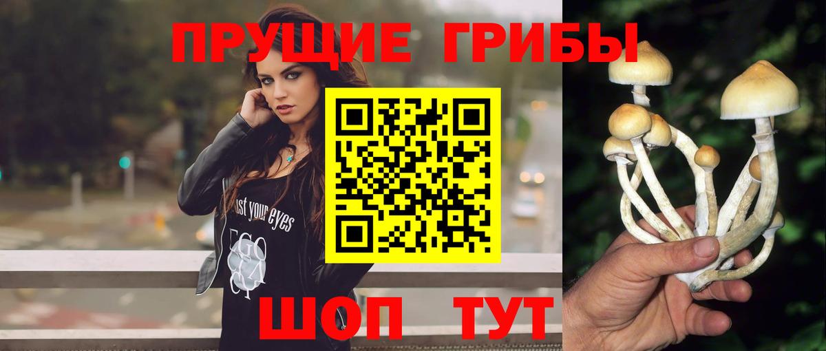 Дубна  Псилоцибиновые грибы ЛСД  Вход с VPN 